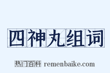 四神丸组词是什么意思的图片